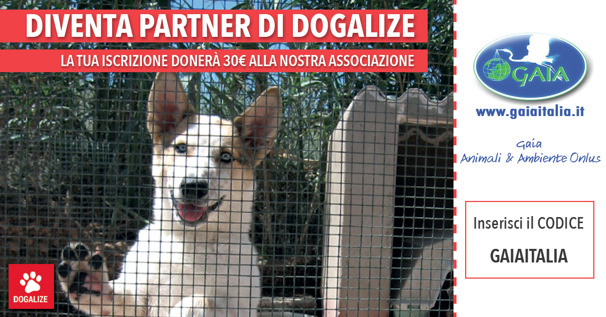 dogalize zio caro immagine facebook-twitter-sitoweb zio caro